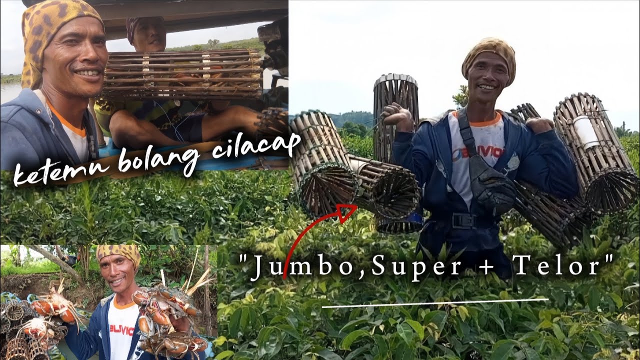 Keberuntungan Pasang Perangkap Kepiting Di Saat Air Keruh/Banjir || Ketemu @Bolangcilacap8901