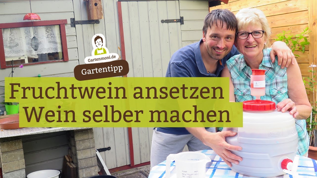 Wein selber machen: Fruchtwein mit Sauerkirschen ansetzen