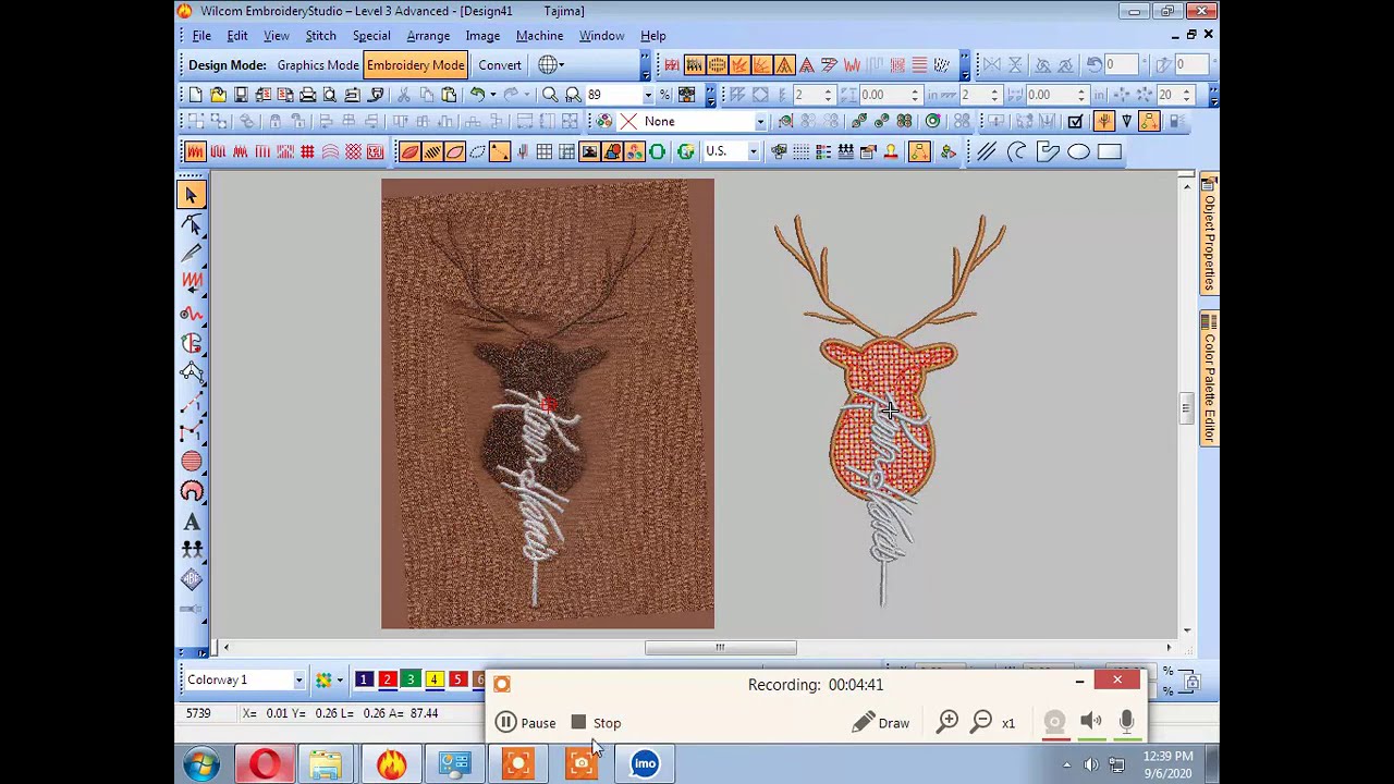 Chenille & Embroidery Design