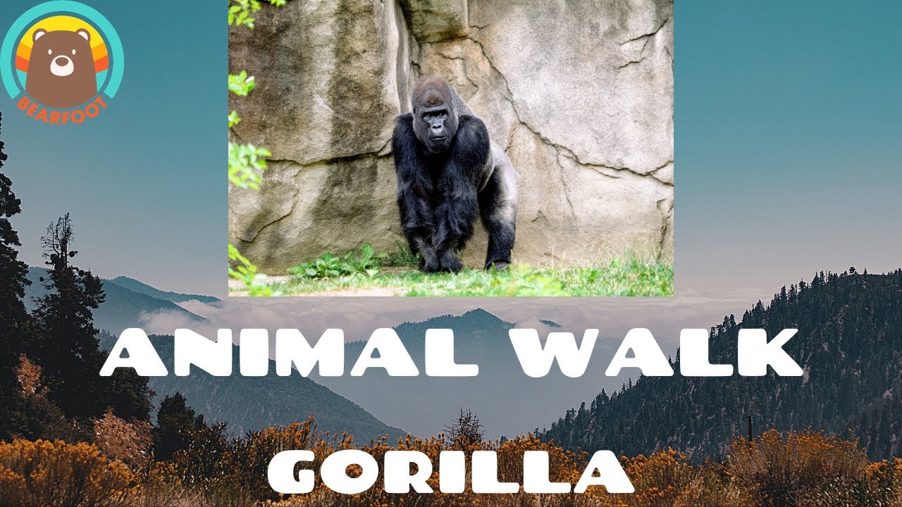 Animal Walks - Gorilla Walk