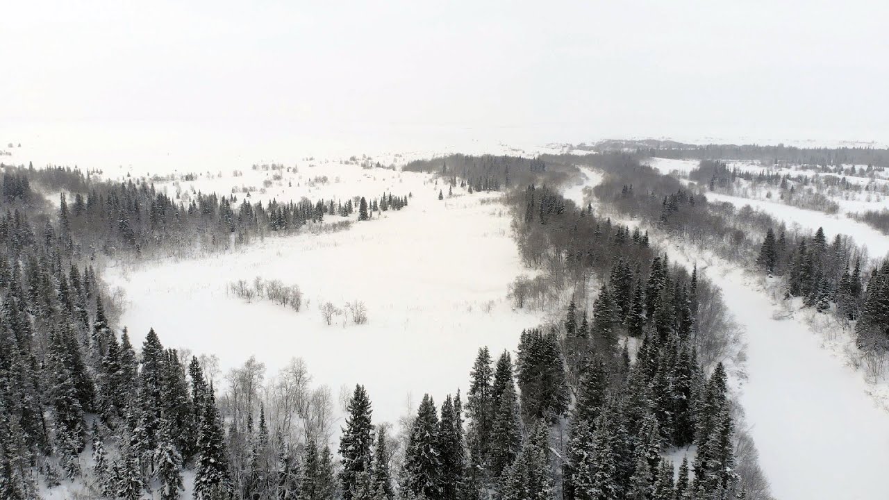 Зимняя тундра