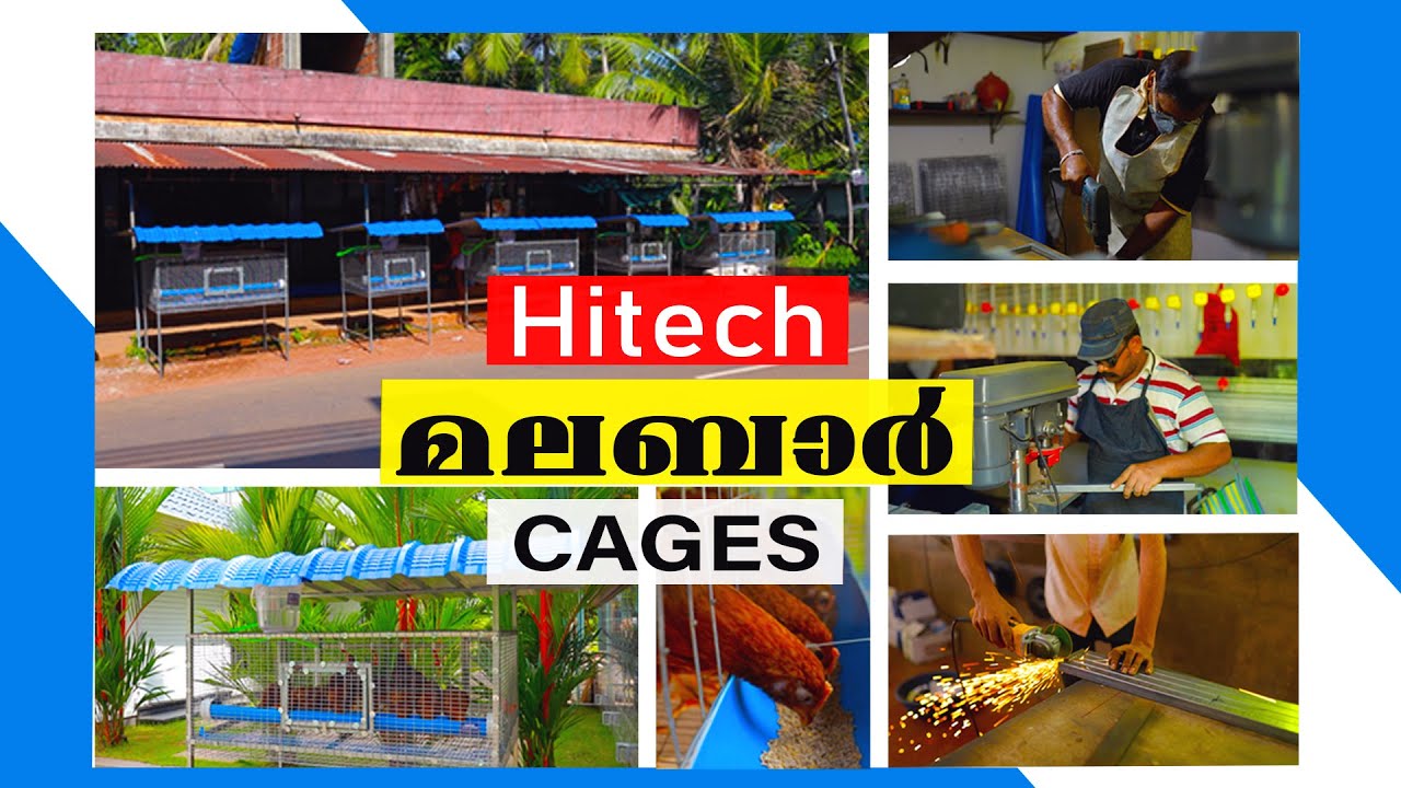 KOZHI KUDE|MALABAR |Hi Tech കോഴികൂട് നിർമാണം| HATCHERIES|MALABAR HI-TECH-CAGES