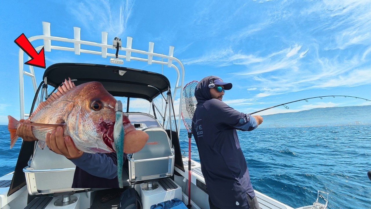 Offshore Snapper Session Lures Got Smashed! (Amazing Results)