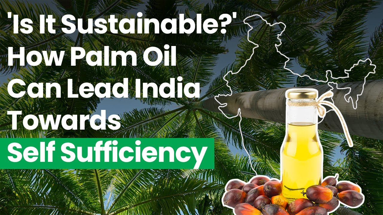 'Is It Sustainable?' How Palm Oil Can LeadIndia Towards Self Sufficiency