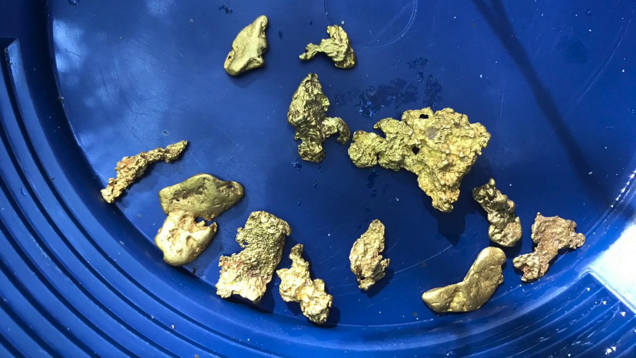 Virginia Gold Nuggets!
