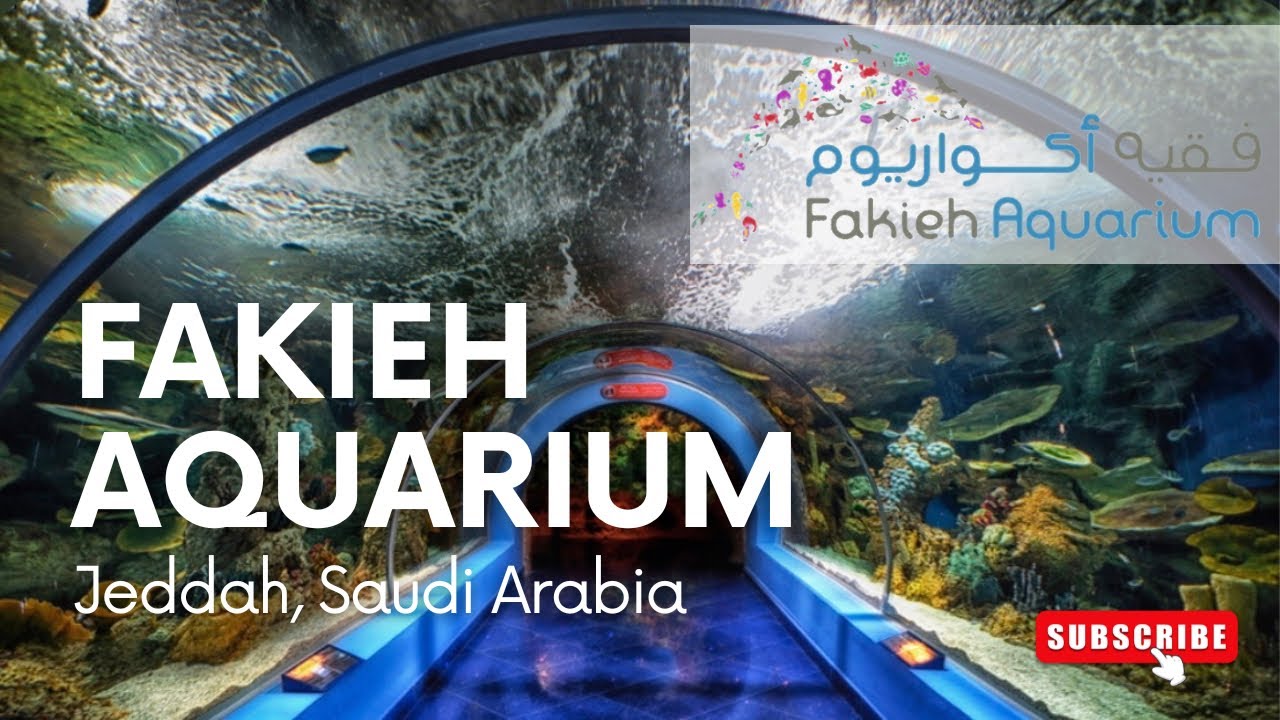 What's inside the Fakieh Aquarium | Jeddah Saudi Arabia | CD Official Vlogs