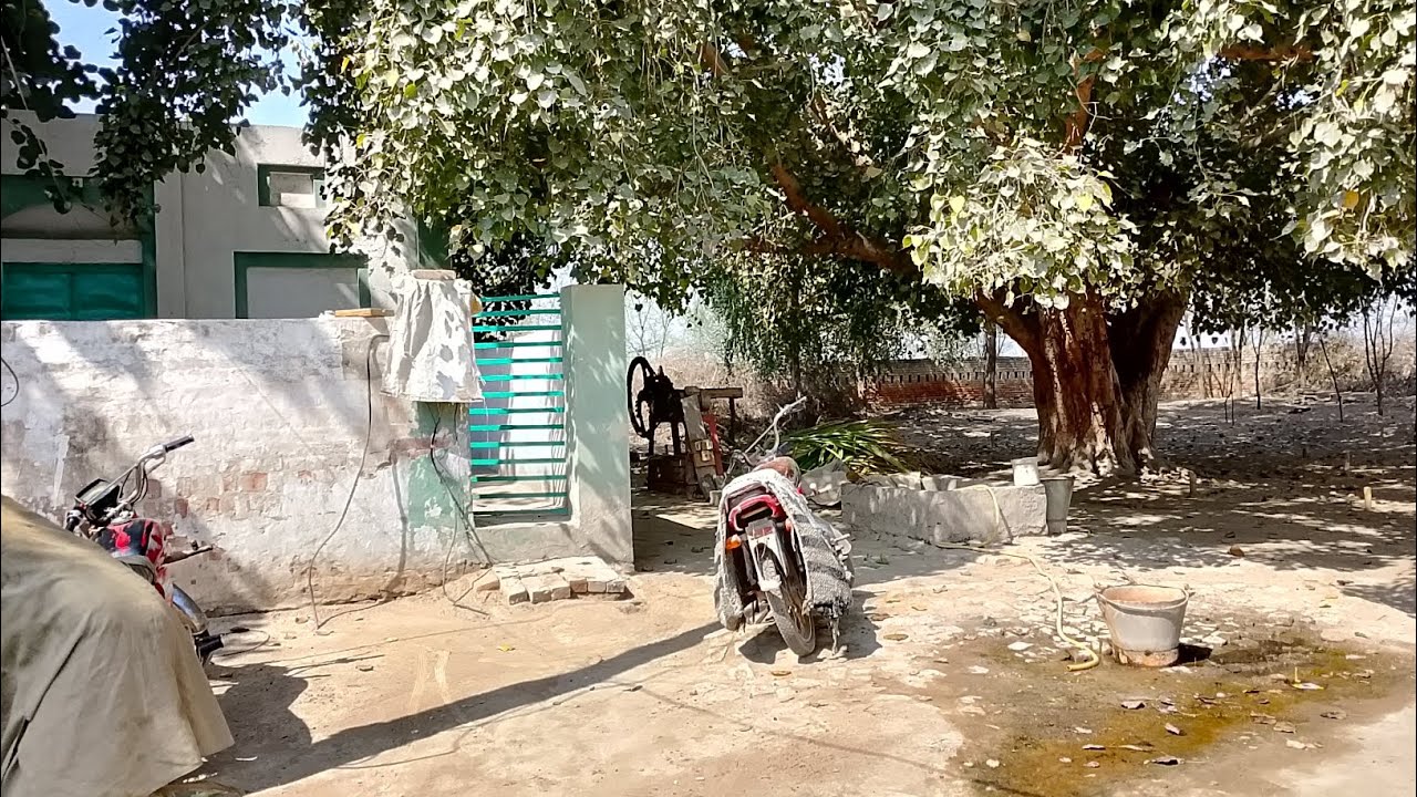 گاؤں کا ماحول گاؤں کی زندگی ہے 🫀#viralvideo #foryou #myfirstvloginmyvillage #