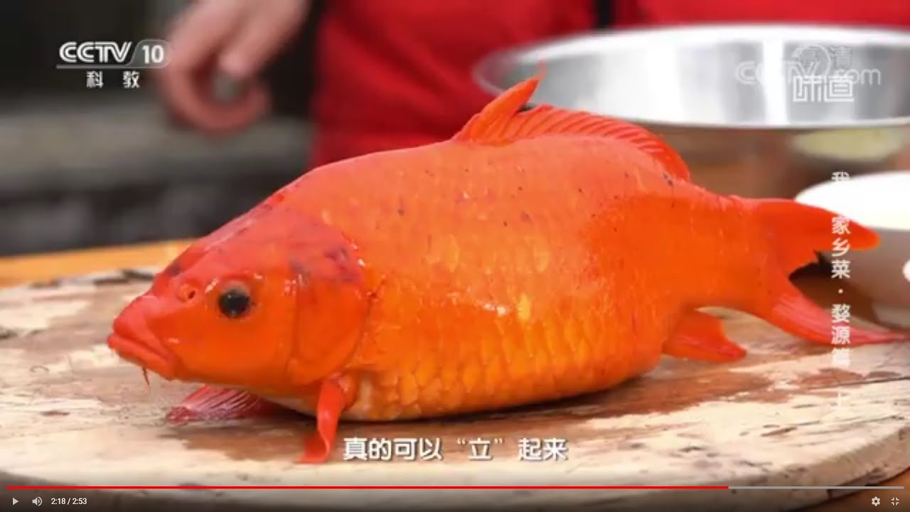 可以”立“起来的荷包红鲤鱼在婺源是吉祥喜庆的食材《味道》我的家乡菜·婺源篇 上 | 美食中国 Tasty China