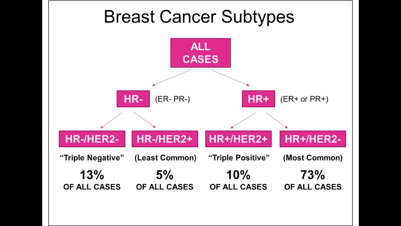 Optimizing Treatment Options for HER2+/ ER+ Breast Cancer using Models of Endocrine Resistance