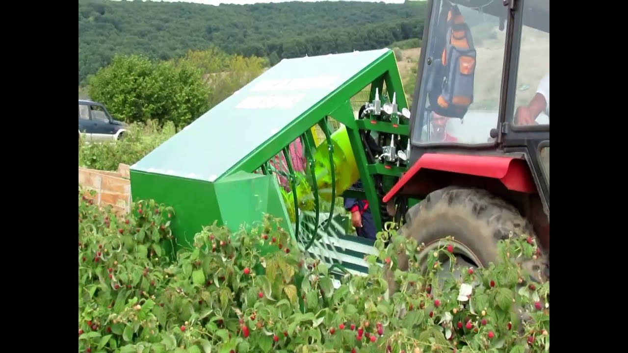 BERAČ ZA RIBIZLE, ARONIJU, ŠIPURAK I MALINE (POLANU) / Raspberry harvesting machine