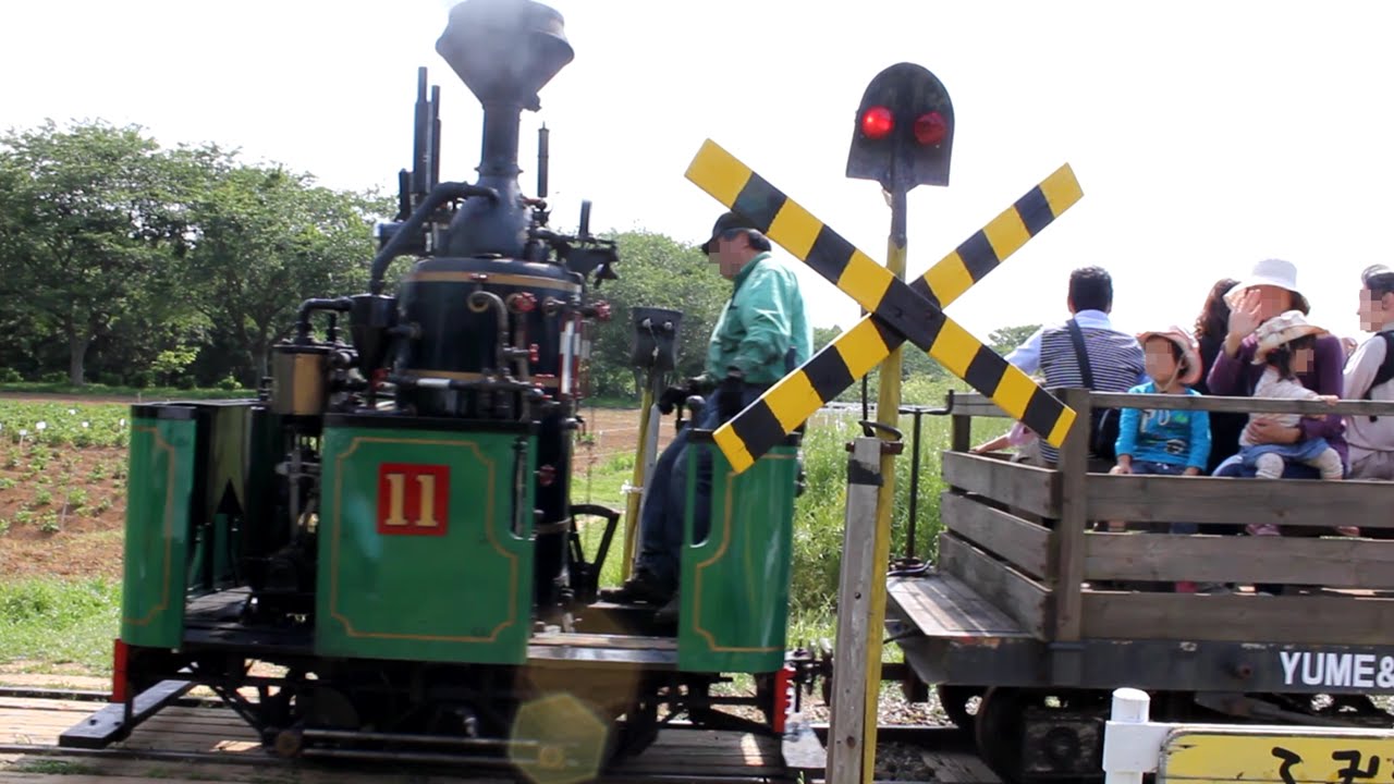成田ゆめ牧場SL乗車体験 | mini SL, railroad crossing