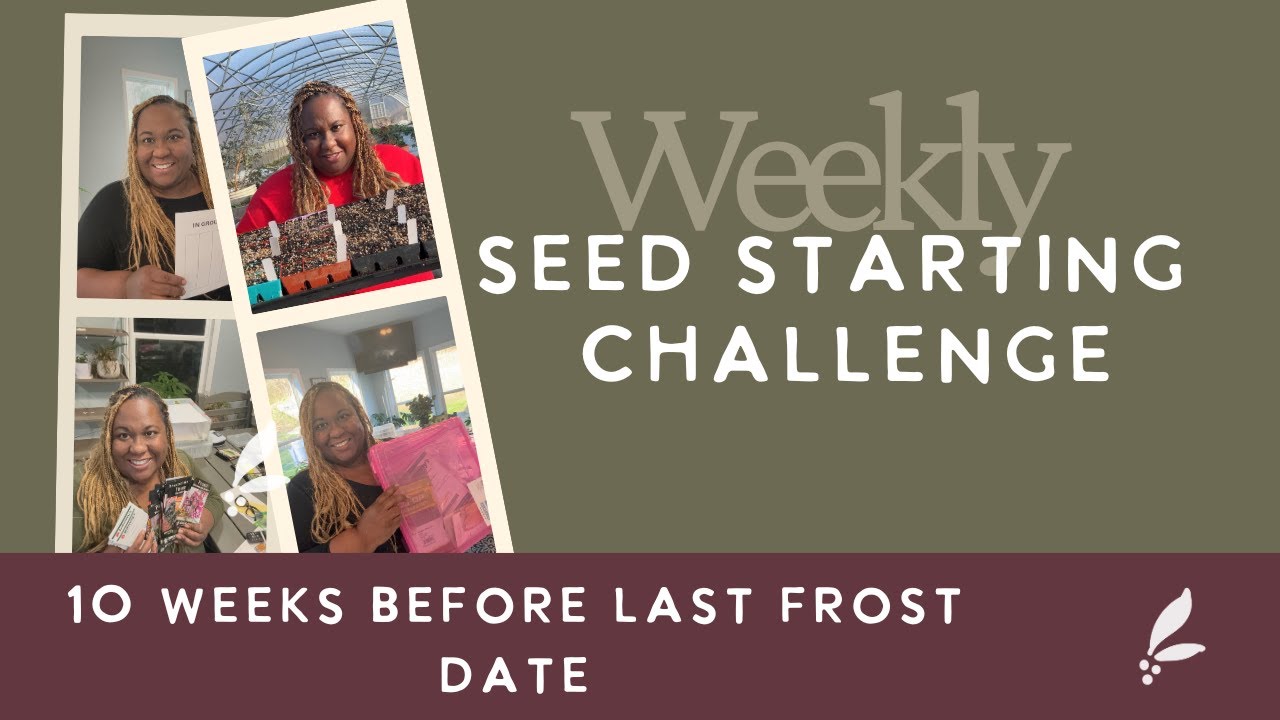 WEEKLY Seed Starting Challenge| 10 Weeks Before Last Frost Date
