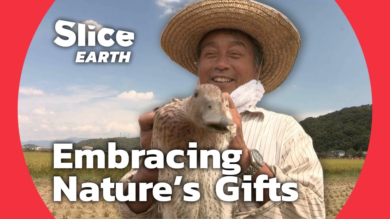 Living Off the Land: Sustainable Living on Kyushu Island | SLICE EARTH