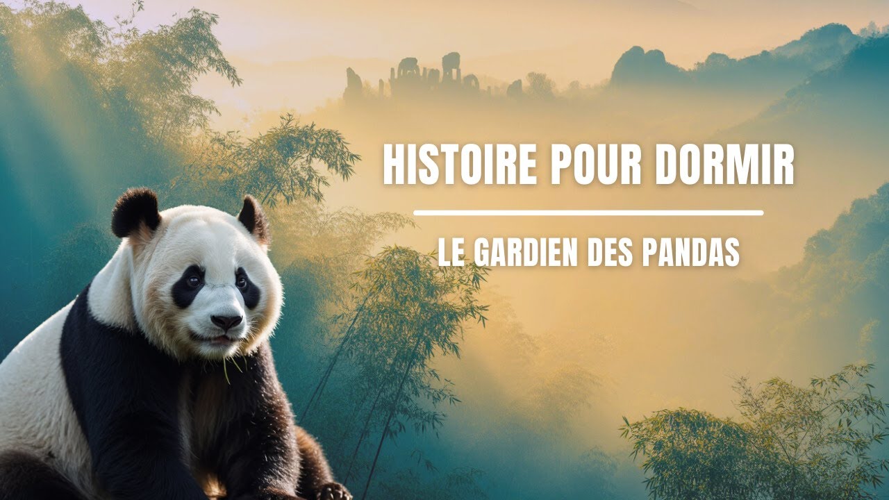🐼 Histoire pour Dormir – Le Gardien des Pandas | Récits Apaisants pour le Sommeil 🌙✨