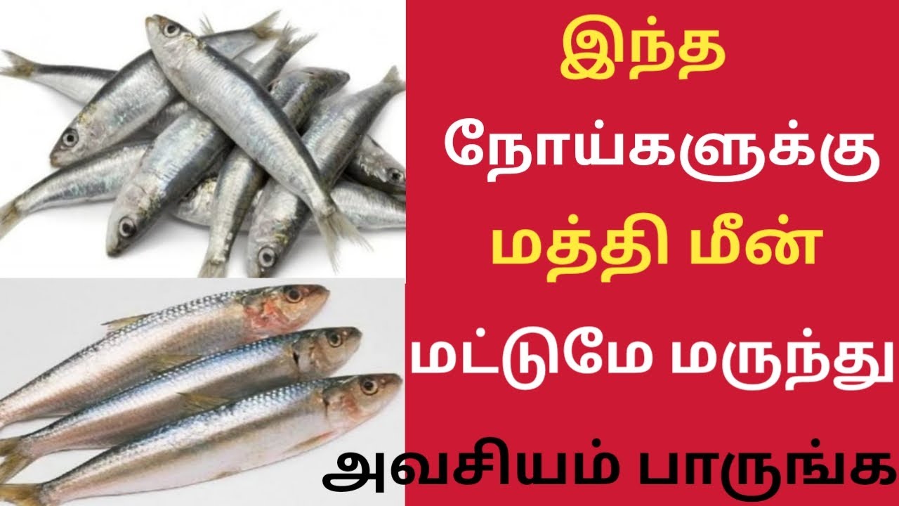 மத்தி மீன் ரகசியம் தெரியுமா!/Health Benefits of Sardine Fish in Tamil/Mathi Meen/Mathi Fish/Sardine