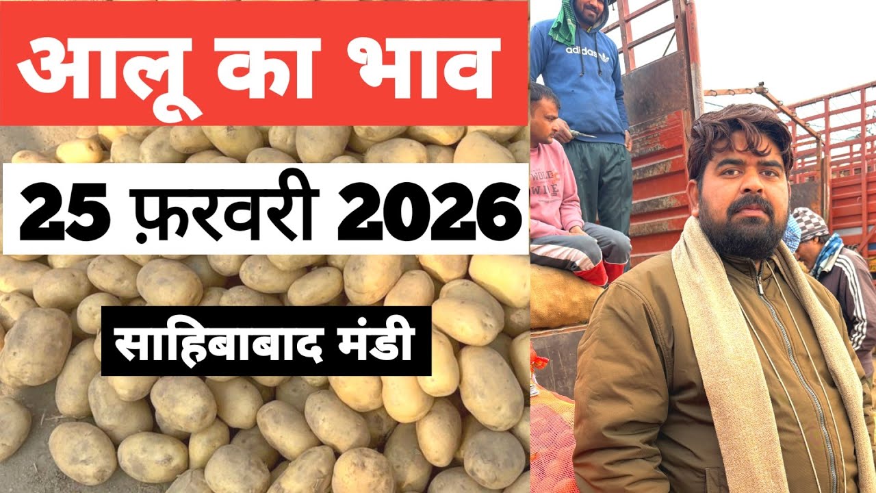 25 February 2026 🥔आलू का भाव साहिबाबाद मंडी | toady potato rates #aalu #aalubhav #potato