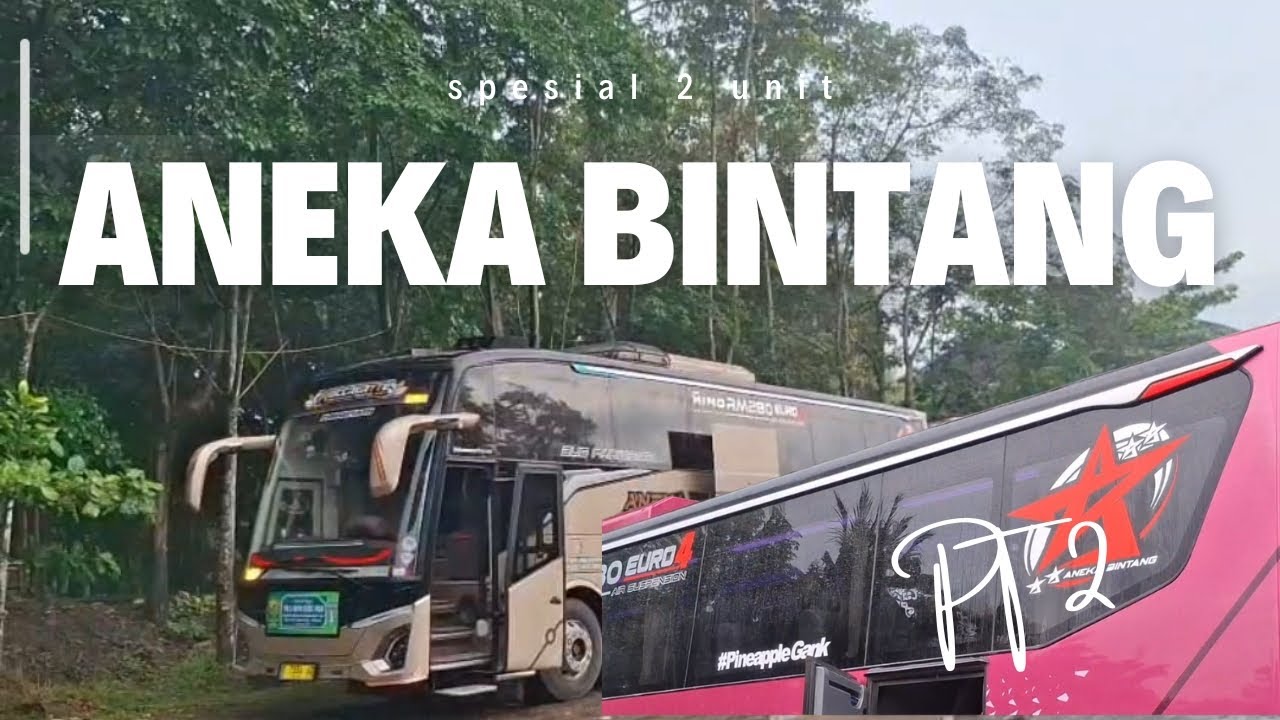 spesial 2 unit aneka bintang MOCCALATTE DAN JAVAS QUEEN   fulll basuriiiiiiii gacorrr