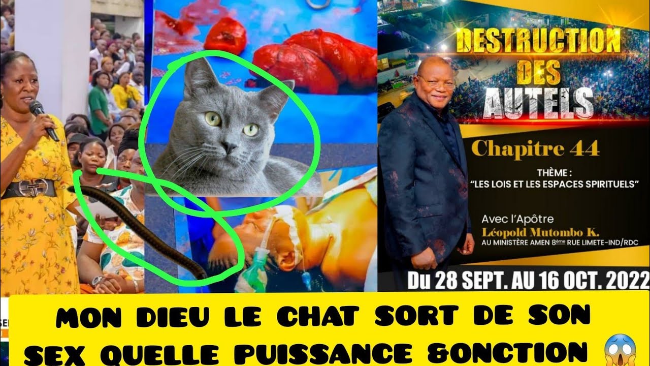 3EIM JOUR DU CHAP.44 DE LA GRANDE CAMPAGNE DE DESTRUCTION DES AUTELS!DÉLIVRA,GUÉRISON MIRACLE FORT 😱