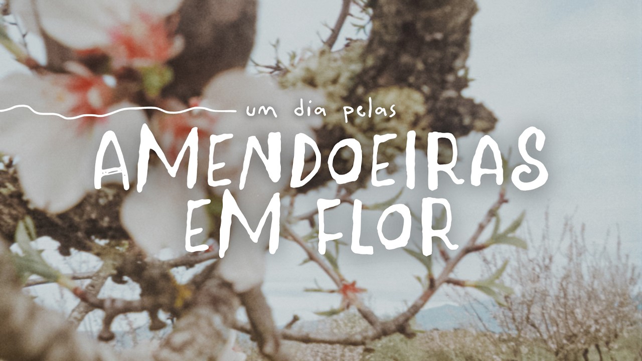 Um dia nas amendoeiras em flor em Trás-os-Montes