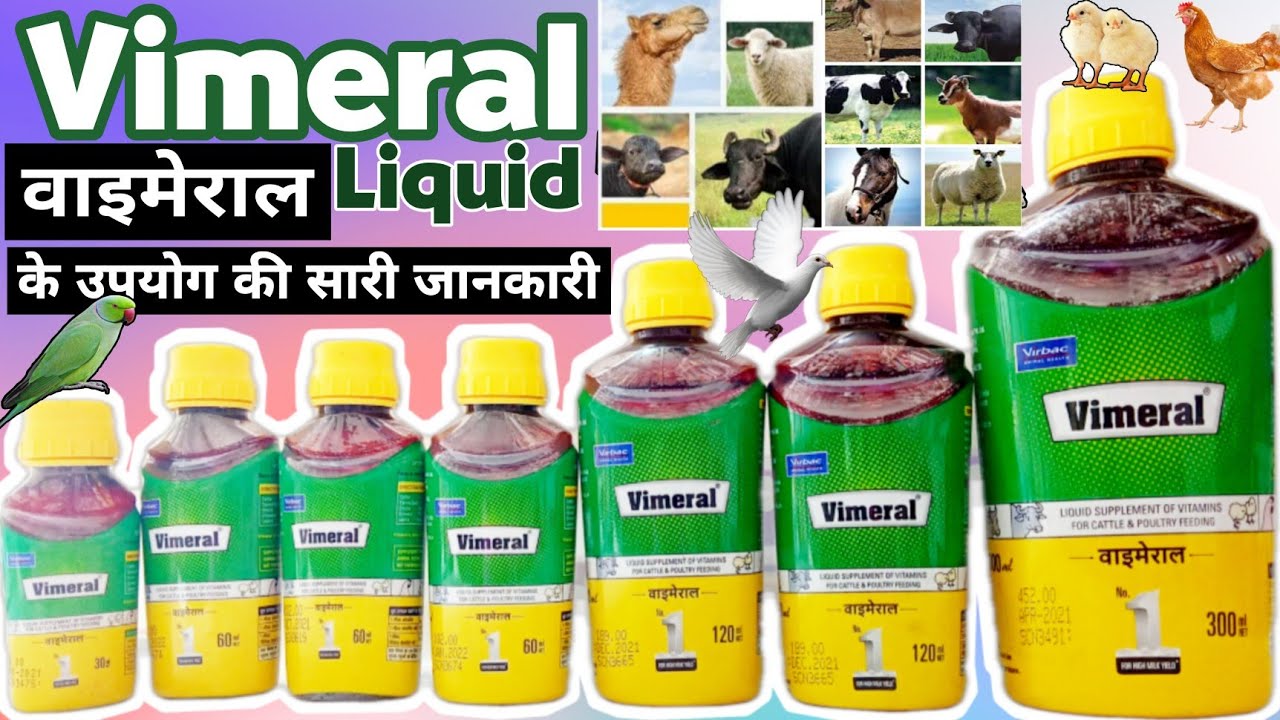 Vimeral uses in hindi !! vimeral for birds ! Vimeral dogs Veterinary Medicine #virbac #vimeral#vet