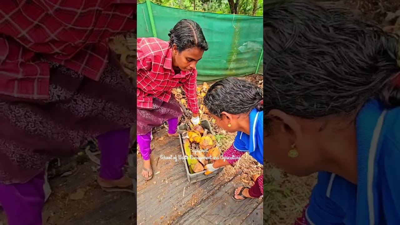 ഏത് വേസ്റ്റും പുഷ്പം പോലെ പൊടിയും  #Biobin #composting