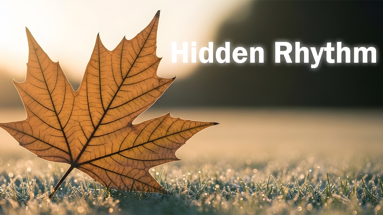 Hidden Rhythm | Soft Guitar & Piano Relaxing Music for Calm, Focus and Sleep