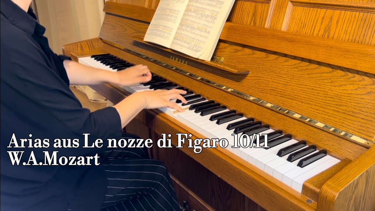 Tutto è disposto - Accompaniment - Figaro - Mozart