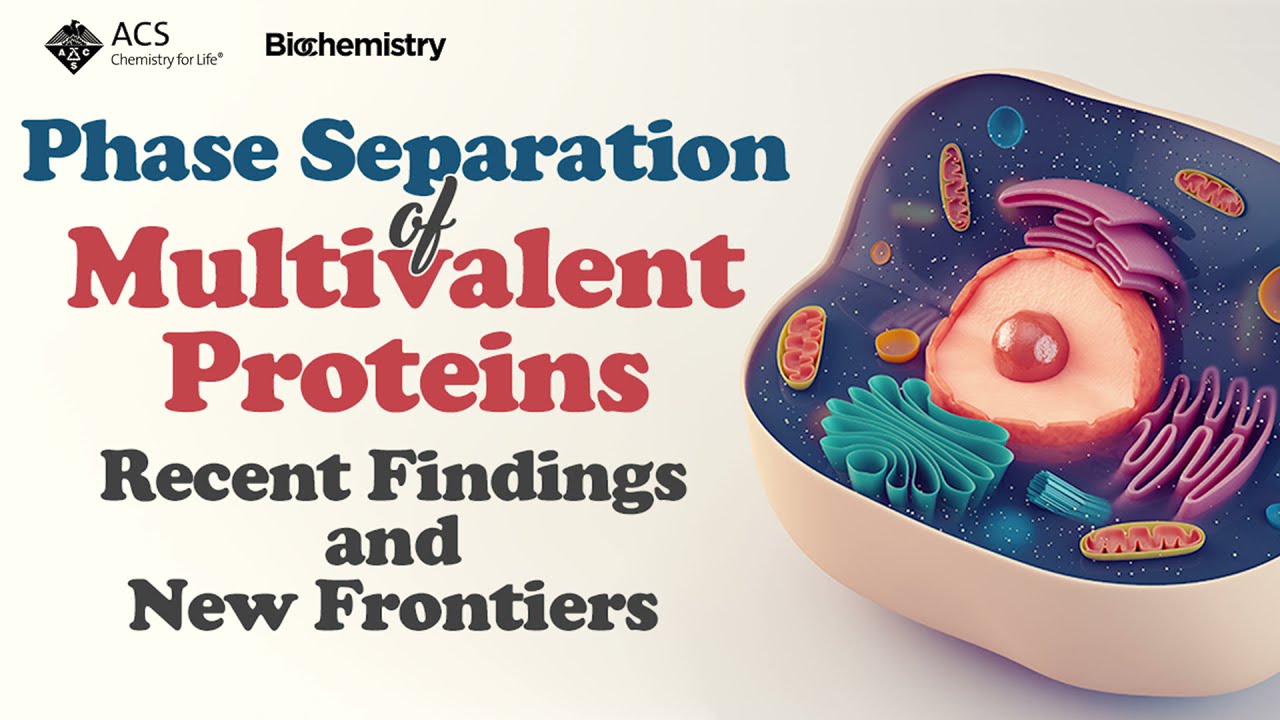 Phase Separation of Multivalent Proteins: Recent Findings and New Frontiers. Rohit Pappu