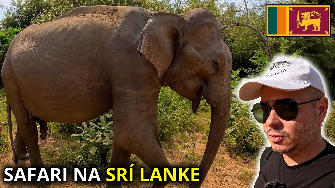 Čo je lepšie, ZOO alebo safari? | Udawalawe, Srí Lanka