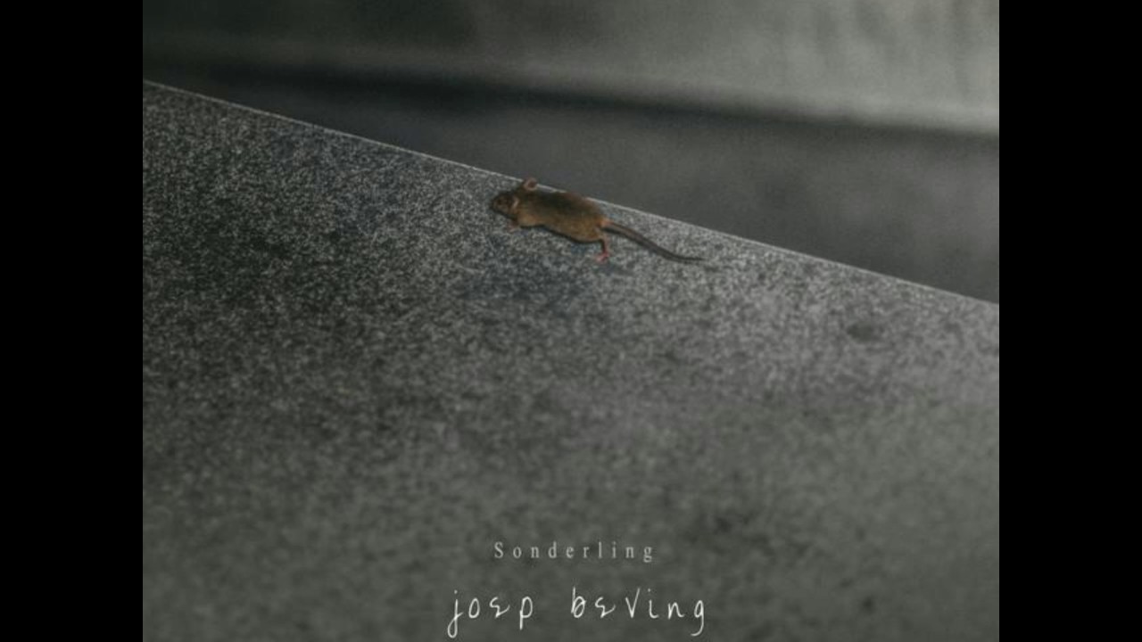 Joep Beving - Sonderling [4K]