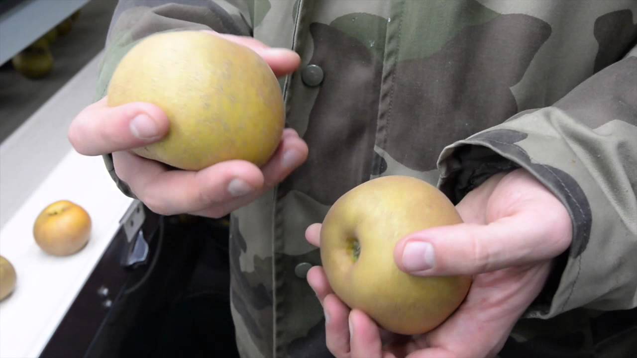 Chef de culture, découvrir un métier avec Jactiv.ouest-france.fr