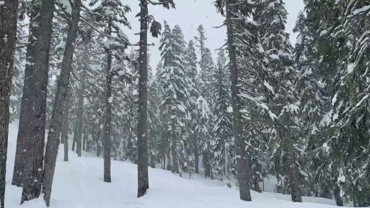 White Pass 2-24-26 Short Version
