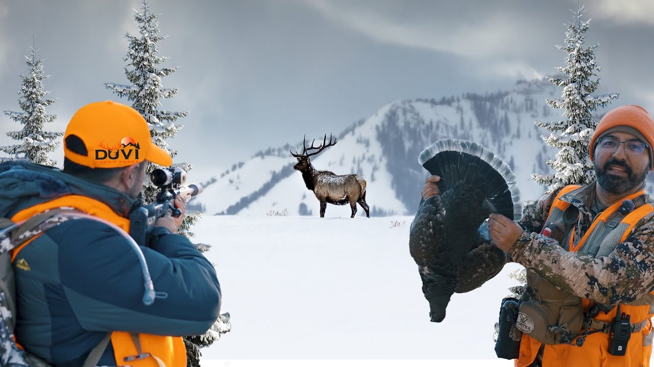 Cazando Elk y Gallos de Montaña en la Nieve