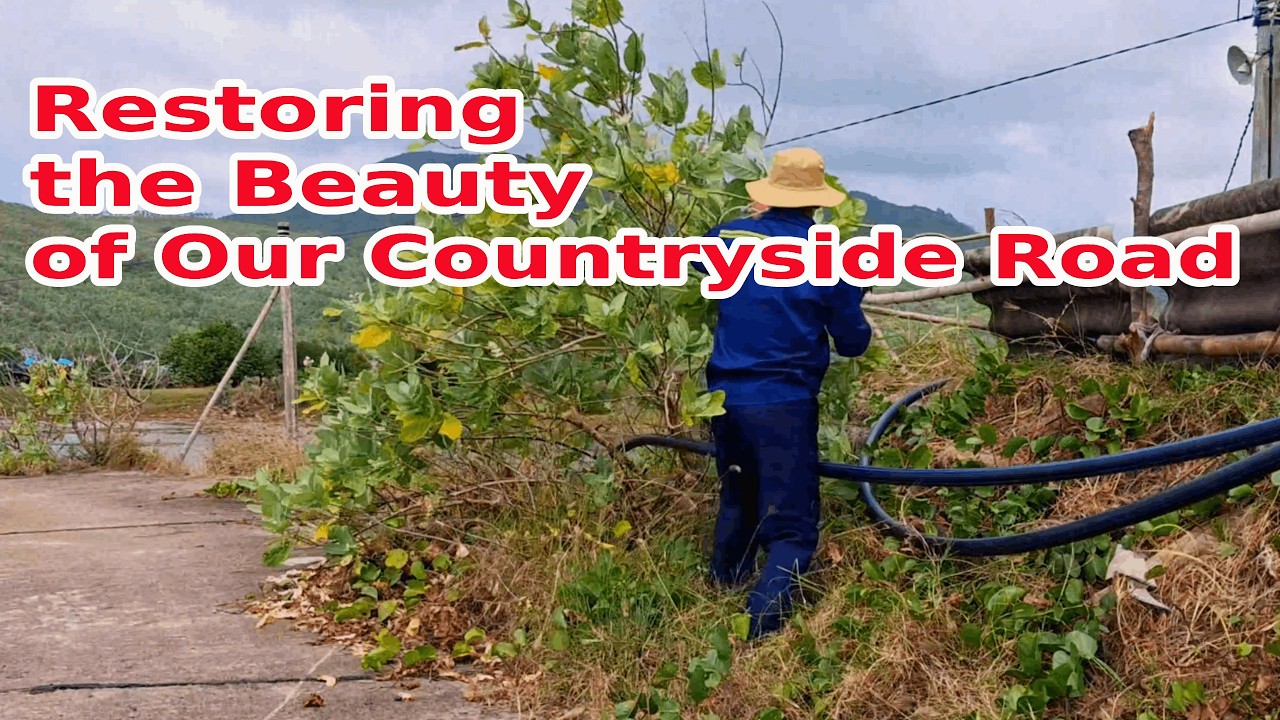 Restoring the Beauty of Our Countryside Road