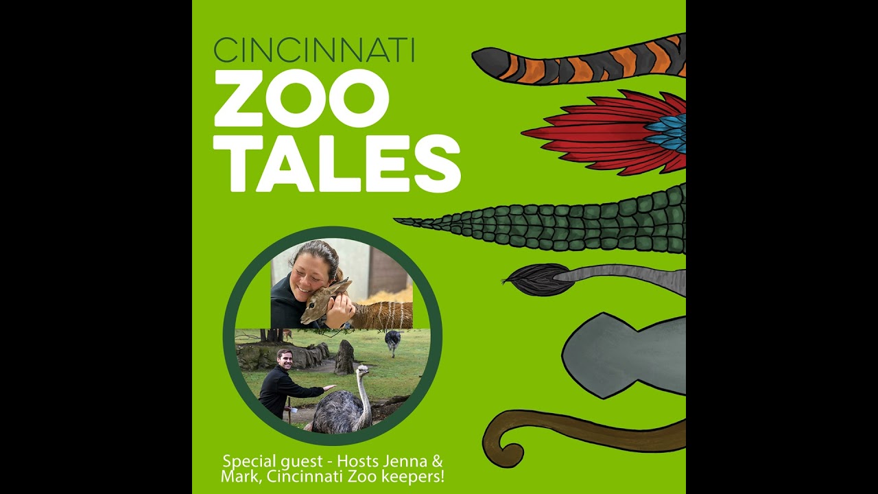 Jenna and Mark, Cincinnati Zoo