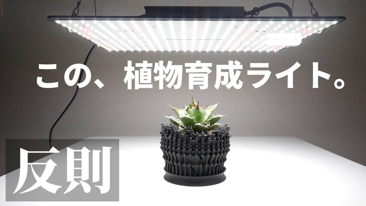 【コレが１万円台!?】性能も価格も反則級のパネル型植物育成ライト！「GL-BOARD800」と「GL-BOARD7400 EVO」レビュー！コスパ最強おすすめ！ラックに最適！アガベ｜塊根植物｜多肉植物