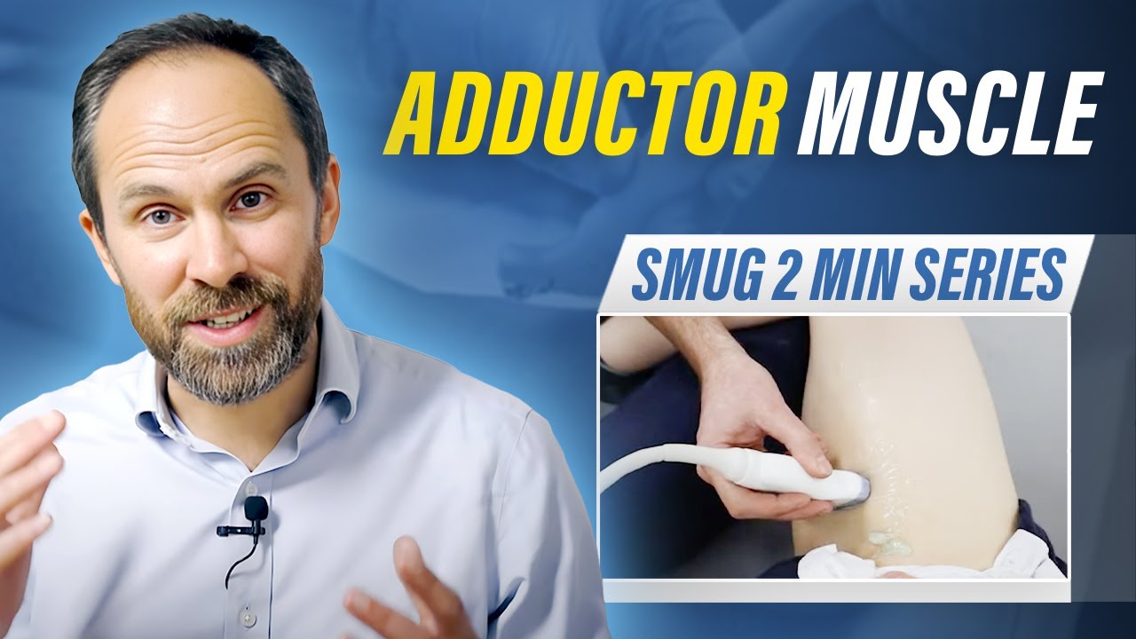 Adductor Muscle -  2 min series MSKUS