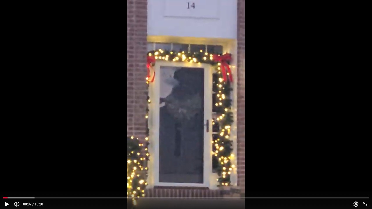 “Magical Christmas Lights Walking Tour 2026”