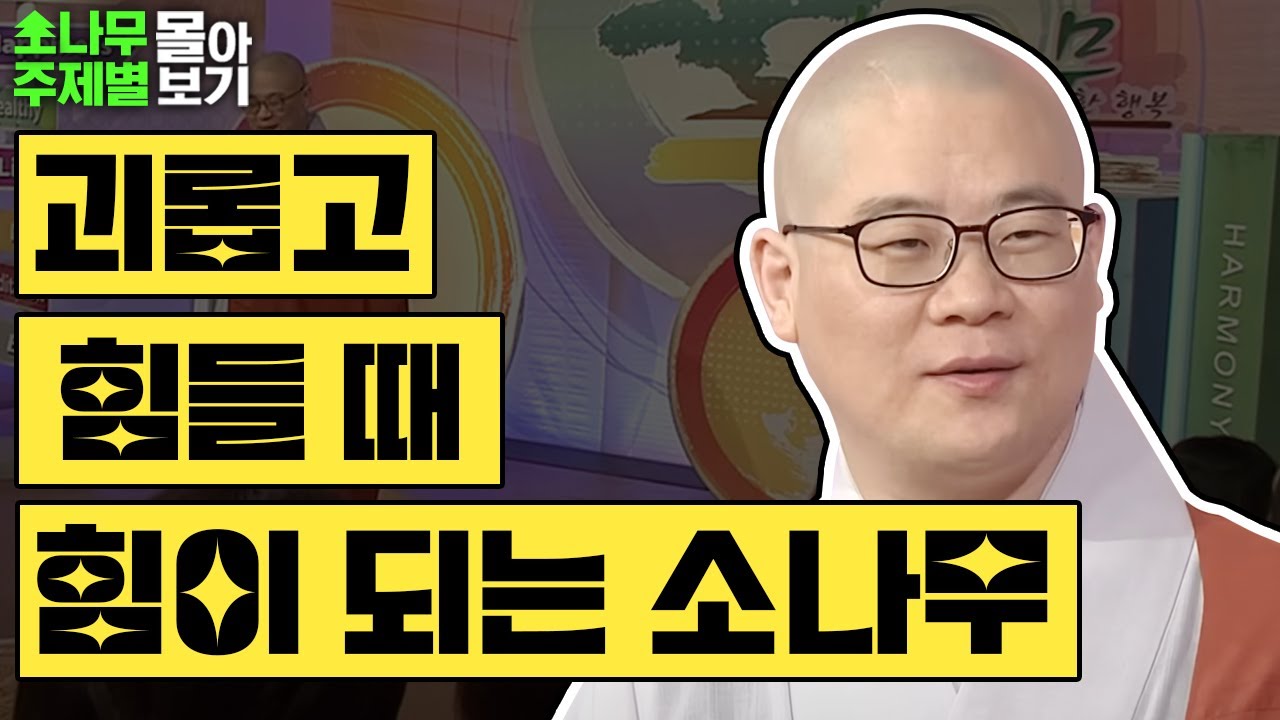 괴롭고 힘들 때 힘이 되는 소나무🌲  [광우스님 소나무 주제별 몰아보기]