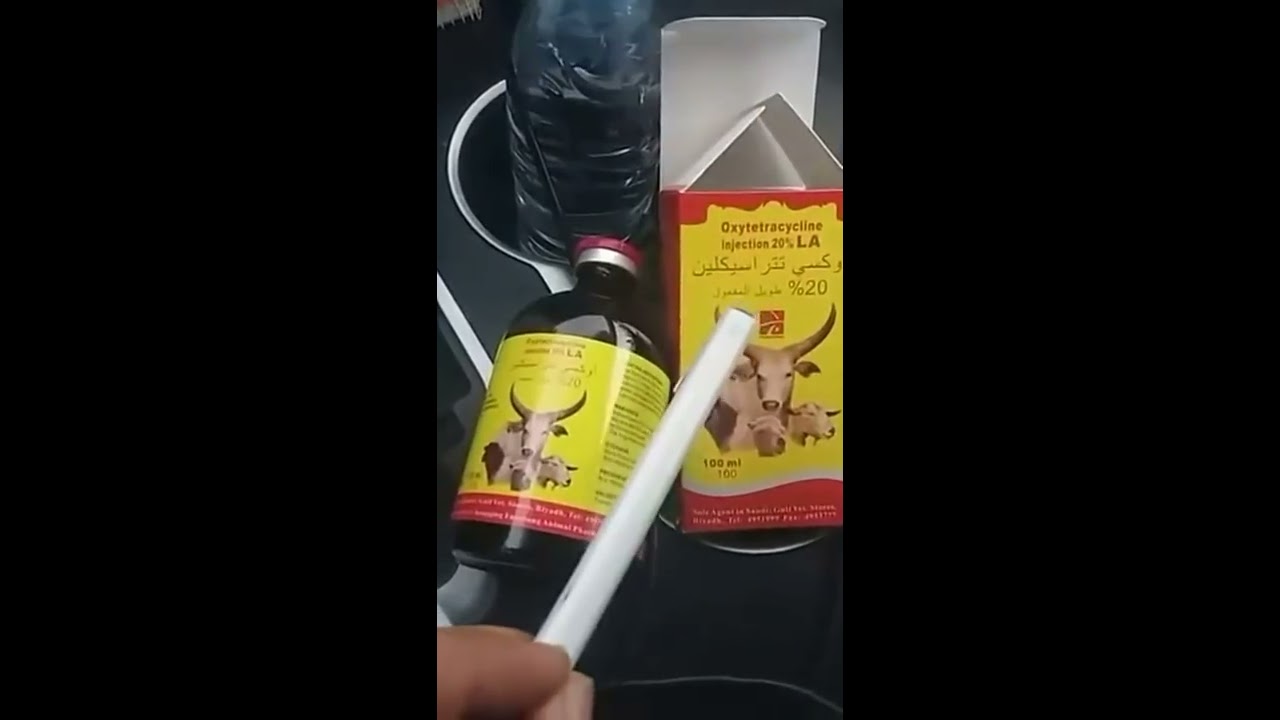 الالتهابات الرئويه واعراضها وتشخيصها في الاغنام وطرق علاجها والوقايه منها