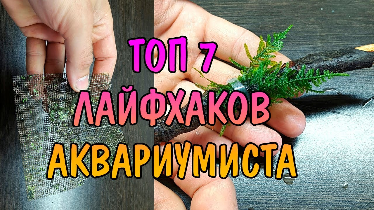 ТОП 7 ЛАЙФХАКОВ АКВАРИУМИСТА. Часть 3