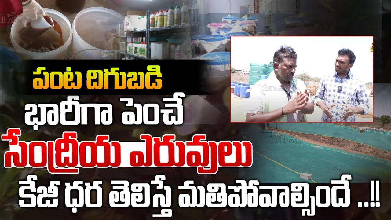 పంట దిగుబడి భారీగా పెంచే | Organic Fertilizers That Greatly Increase Crop Yields | Rythanna Nestam