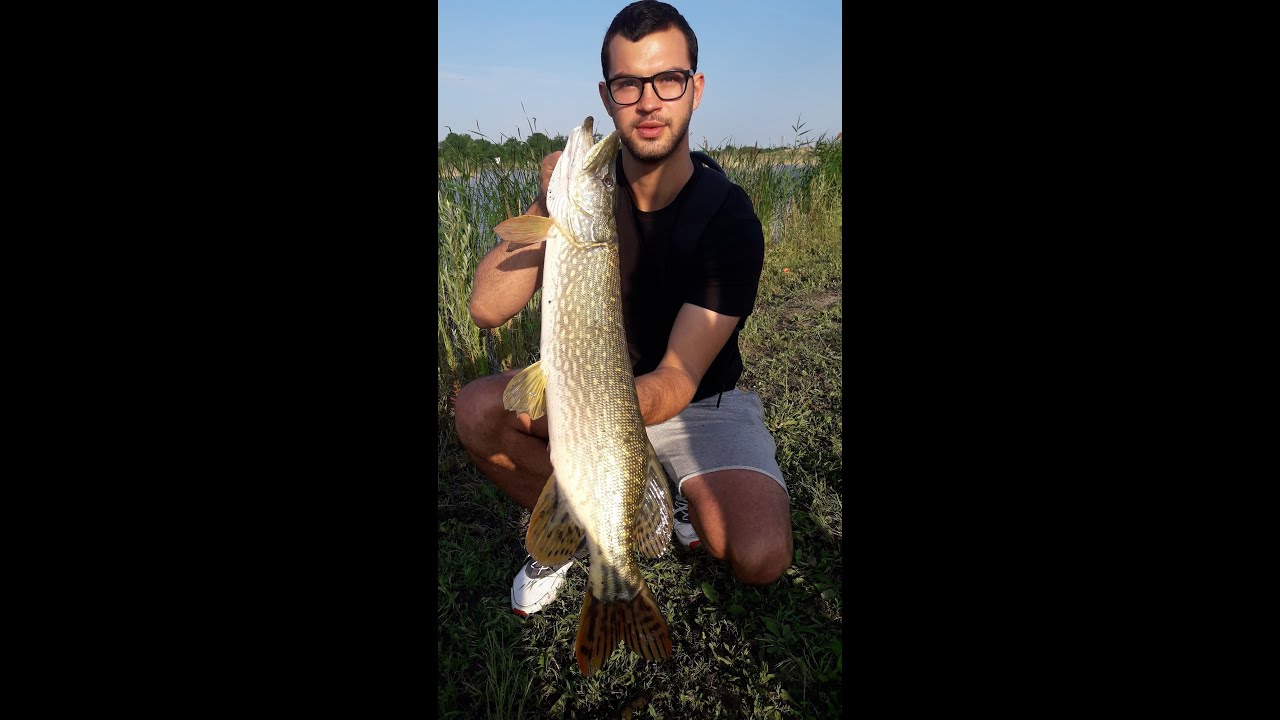 2020 YILININ ILK TURNA AVI 2. BOLUM - FIRST PIKE FISHING OF 2020 EPISODE 2