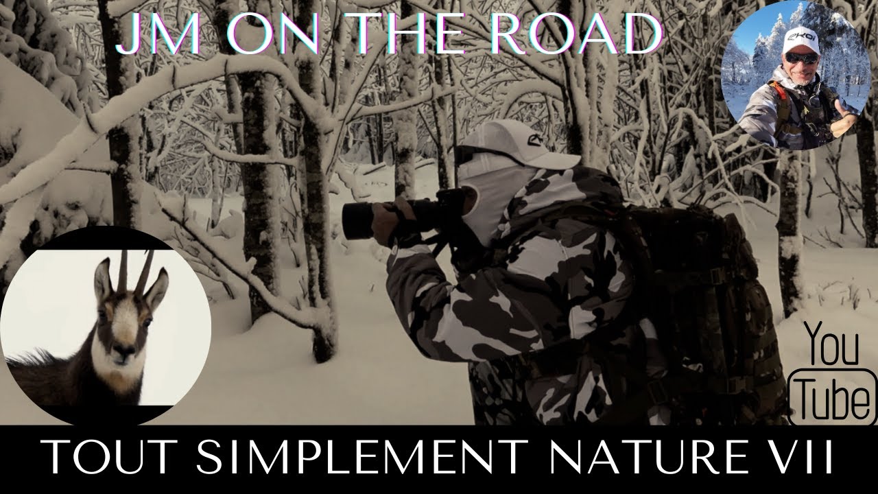 SIMPLEMENT NATURE AFFUT ANIMALIER PARTIE 7 JM ON THE ROAD