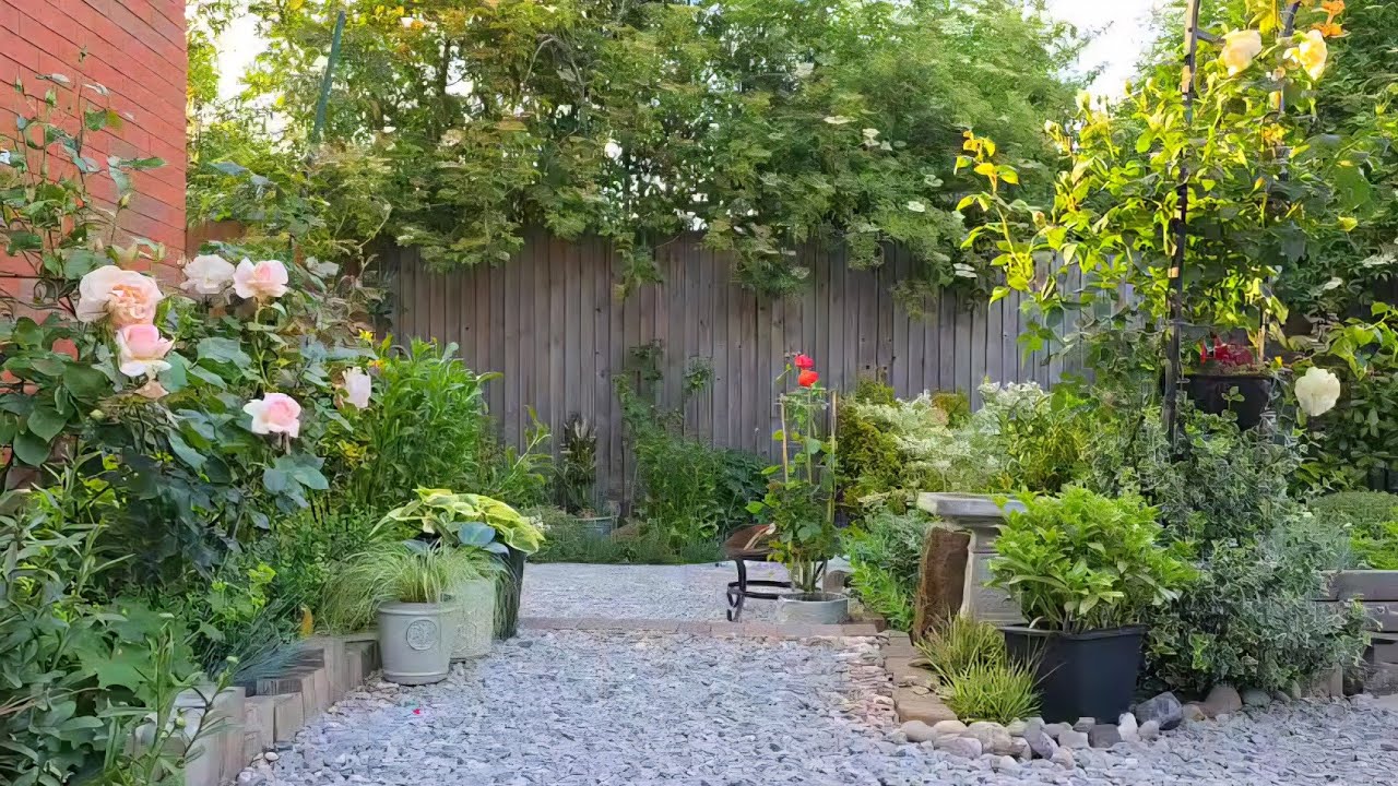 June gravel garden tour, low maintenance garden, summer gardening 