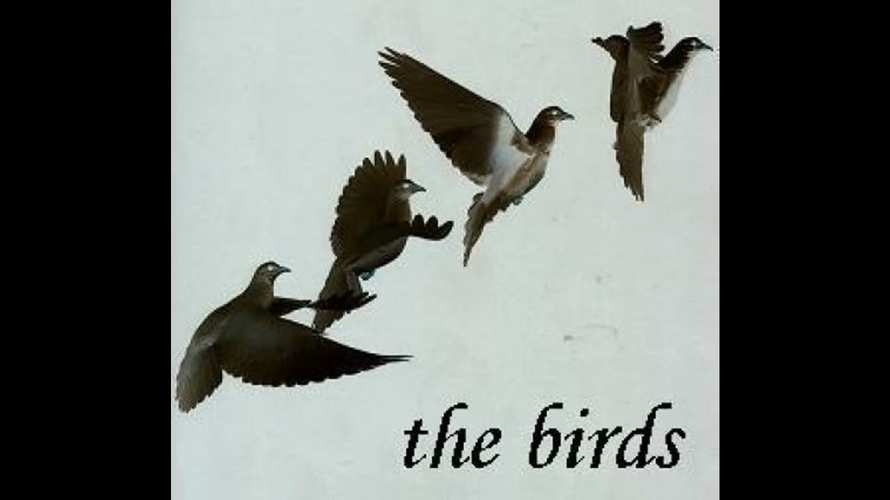 The Birds - Planet Of The Birds