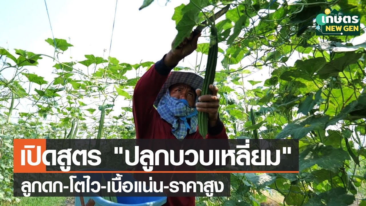 เปิดสูตร 