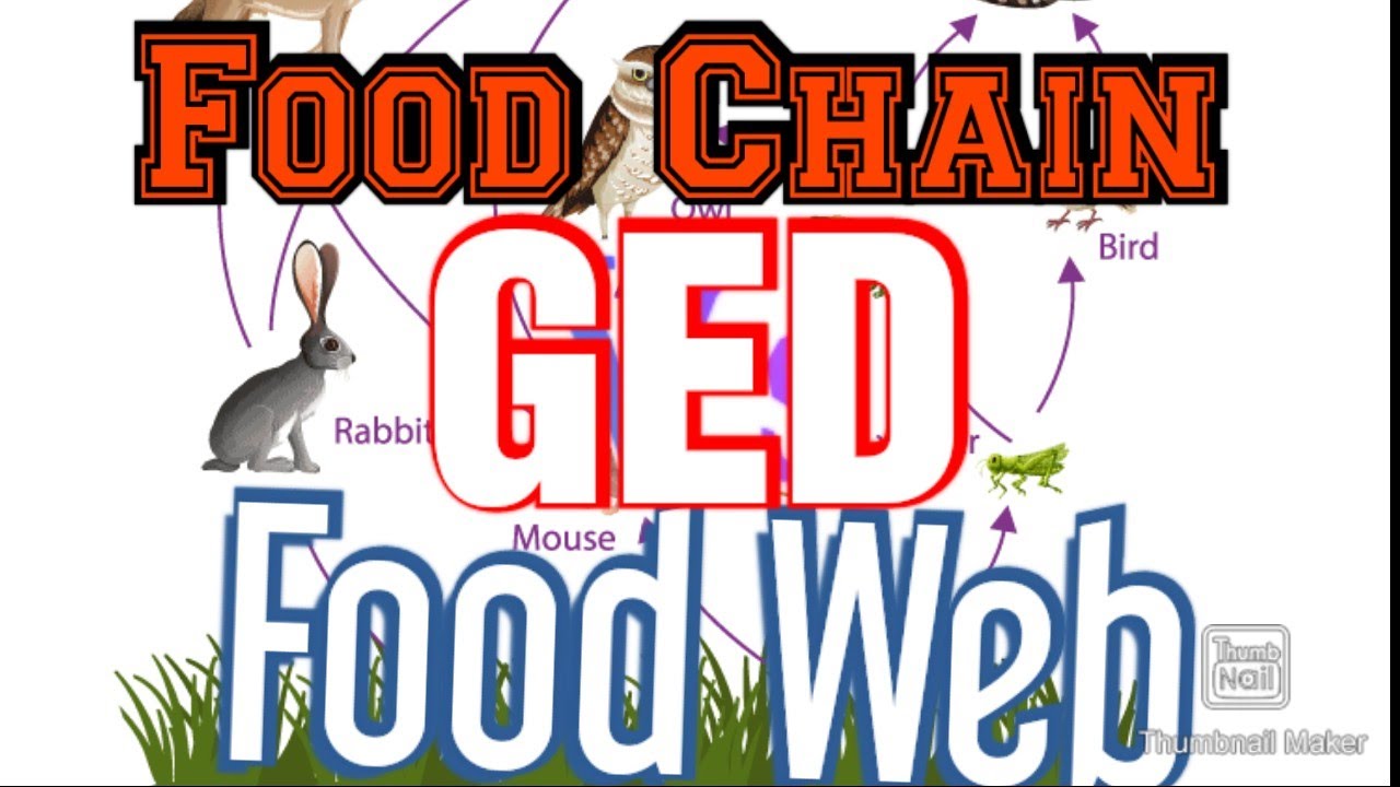 GED မှာပါတဲ့ (Topic Food Chain Vs Food Web) GEDကျောင်းသားတစ်ယောက်ဆိုကြည့်သင့်ပါတယ်