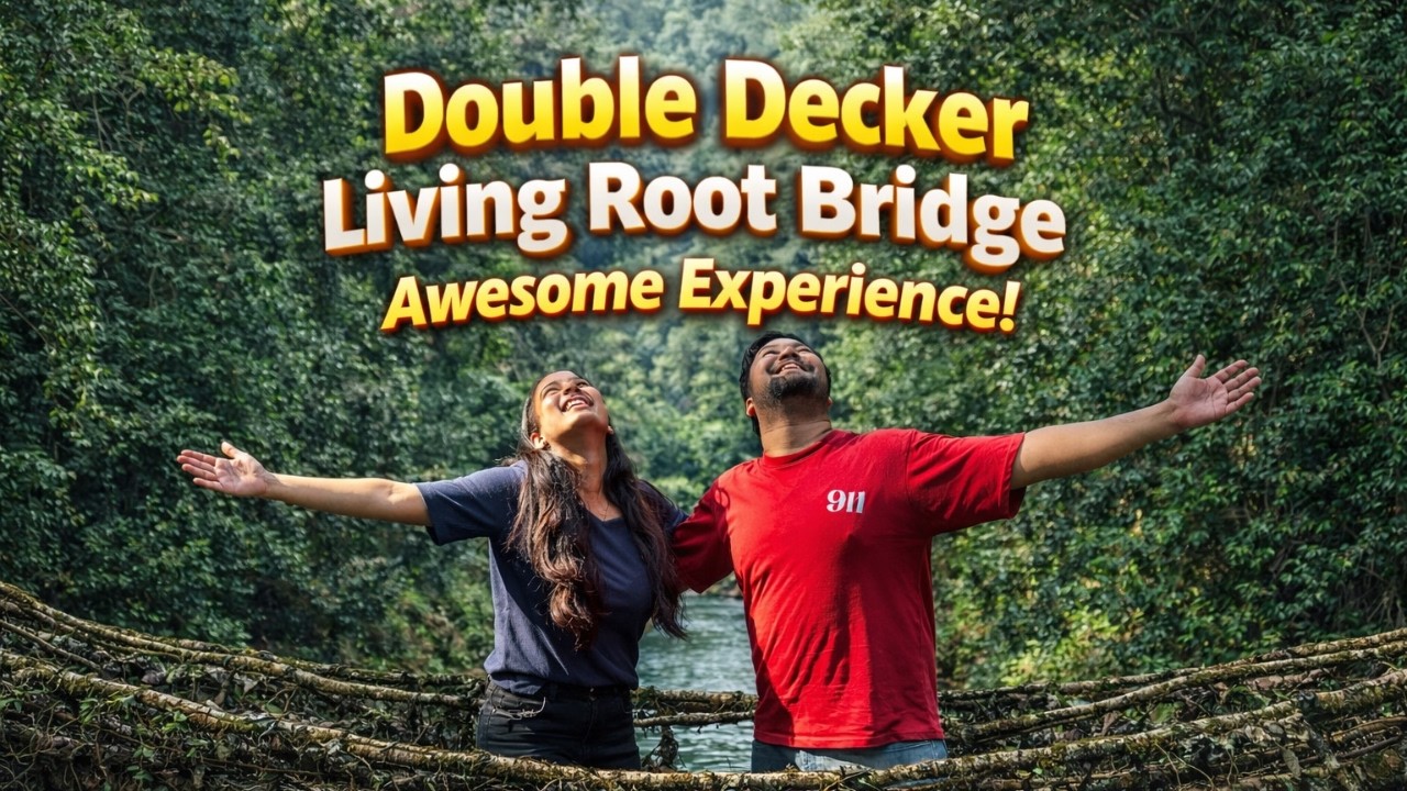 Double Decker Living Root Bridge Cherrapunji: Full Information & 3500 Stairs Trek Guide