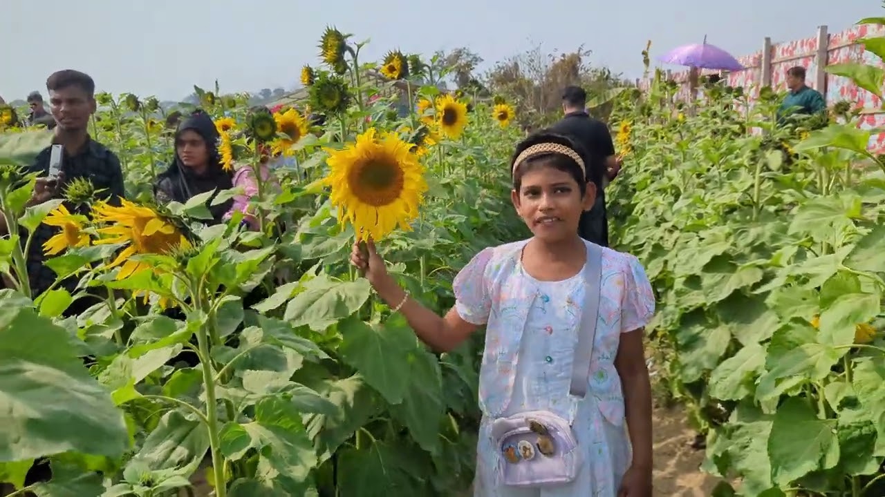 ফুলের রাজ্যে গদখালি ঘোরাঘুরি কিছু টুকিটাকি স্মৃতি